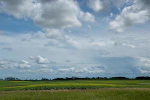 terreno agricolo a nord di churchbridge, saskatchewan orientale, canada. foto