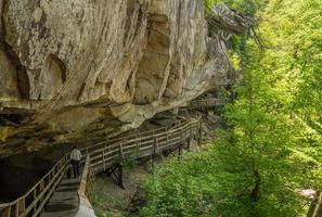 passerella nel parco statale di audra vicino a buckhannon nella virginia occidentale foto