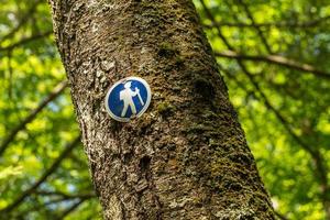 segnale di direzione blu del sentiero escursionistico inchiodato al tronco d'albero foto