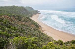 uno dei grandi sentieri naturalistici oceanici chiamato la baia del castello, la bellissima spiaggia nello stato di victoria, in australia. foto