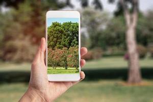 scattare foto con smartphone al parco naturale, tecnologia e stile di vita moderno.