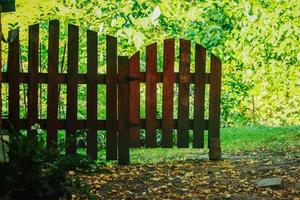 bordo di recinzione ad arco in legno scuro su alberi verdi illuminati dal sole e sfondo frondoso di siepe foto