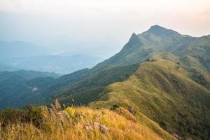 la vista del paesaggio di doi pha tang una delle famose montagne nella provincia di chiang rai della tailandia. foto