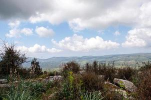 paesaggio con alberi foto