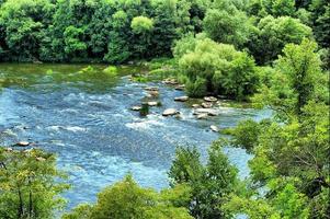 piccolo fiume nei dintorni di alberi foto