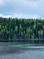 maestosa foresta e pittoresco fiume ambiente scenico settentrionale della Carelia foto