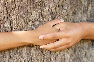 concetto di amore della terra, mano umana che tocca l'albero con amore foto