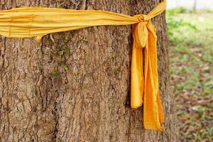 panno giallo legato ad un grande albero rappresenta la conservazione della natura foto