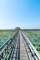 Sam Roi Yot palude di acqua dolce o bueng bua khao Sam Roi Yot National Park foto