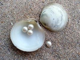 conchiglia con una perla nella sabbia foto