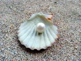 conchiglia con una perla su una spiaggia di sabbia foto