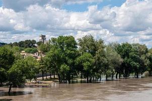 alberi vicino a un fiume sotto un cielo nuvoloso foto