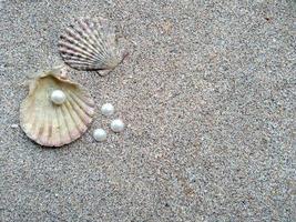 conchiglia con una perla su una spiaggia di sabbia foto