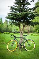 foto di una bicicletta parcheggiata vicino a un albero, primo piano.