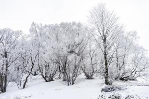 coperto di neve montagna del Caucaso foto