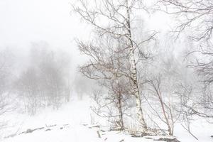 coperto di neve montagna del Caucaso foto