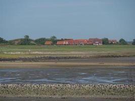 isola di baltrum nel mare del nord foto