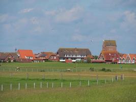 isola di baltrum in germania foto