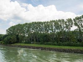 bratislava presso il fiume Danubio foto