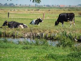 il villaggio di ditzum sul fiume ems foto