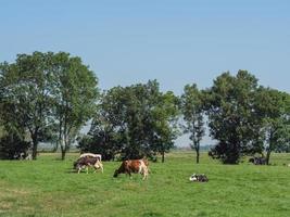 il villaggio di ditzum sul fiume ems foto