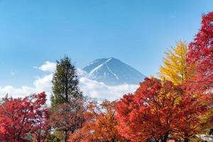 monte fuji sul giardino di aceri nella stagione autunnale foto