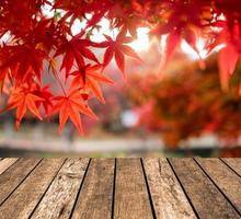 piano d'appoggio in legno su foglie d'acero rosse sfocate nel giardino del corridoio foto