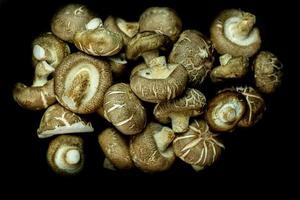 funghi misti su sfondo nero, vista dall'alto e copia spazio concetto di cibo foto