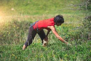 raccolta di mirtilli vicino alle foreste di montagna foto