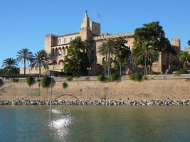 cattedrale la seu a palma de mallorca foto