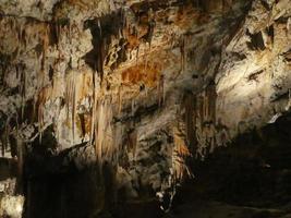 grotta carsica a postojna foto