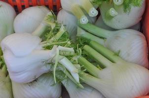 finocchio verdure sano cibo vegetariano cucina foto