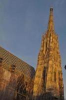 Stephansdom Cattedrale di Santo Stefano a Vienna foto