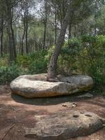 vista di cala galdana nell'isola di minorca in spagna foto