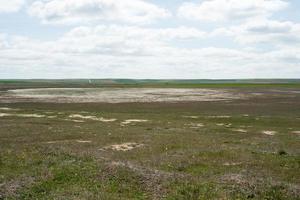 stagno secco a villafafila, zamora. buon posto per il birdwatching. foto