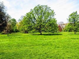 hdr hyde park, londra foto