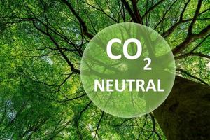 concetto carbon neutral. CO2 neutro nel logo del cerchio sull'albero verde nella foresta. giorno dell'ambiente e sfondo del giorno della terra. ecologico. ecologia ambiente e conservazione. vai al concetto di business verde. foto