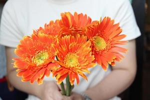 bellissimo bouquet di margherita gerbera arancione in mano, fioritura primaverile estate. foto