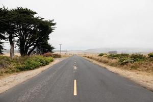 strada tra le dune foto