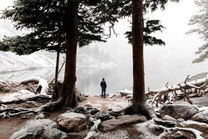 persona in un paese delle meraviglie invernale foto