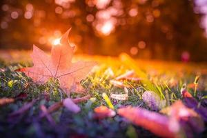 foglia d'arancio in erba verde. sfondo del concetto di stagione autunnale, bellissimo primo piano autunnale. natura del tempo autunnale, modello autunnale per il design foto