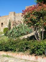 la città di malaga in spagna foto