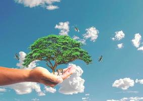il concetto di salvare il mondo, proteggere l'ambiente. albero in mano per il cambiamento