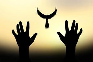 concetto di libertà. la colomba dell'ombra vola sopra una mano umana. sfondo dorato del sole nel morningackground al mattino foto