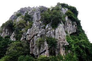 foresta di roccia di montagna. foto