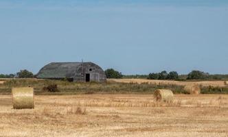 fienile abbandonato nelle zone rurali del saskatchewan, in canada foto