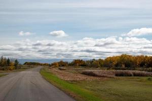 strada di campagna sulle praterie canadesi in autunno. foto