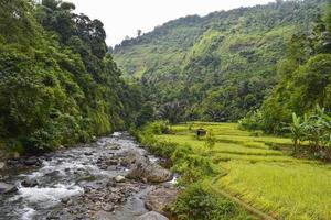 illusione di bellissime risaie geen in indonesia buone per viaggiare foto