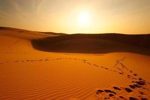 paesaggio di deserti e dune di sabbia foto