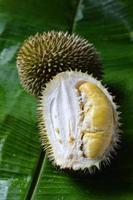 durian foto